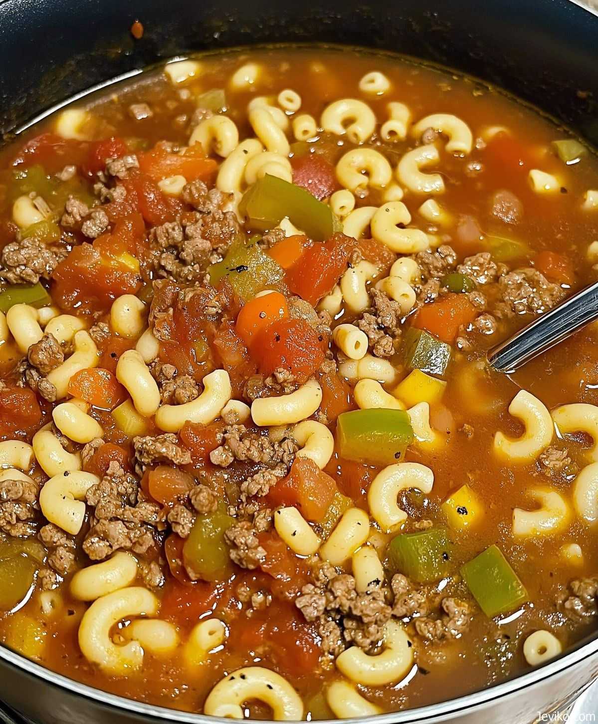 Beef and Macaroni Soup