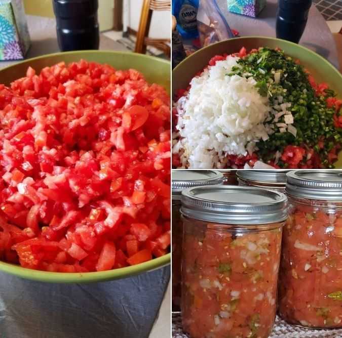 PICO DE GALLO