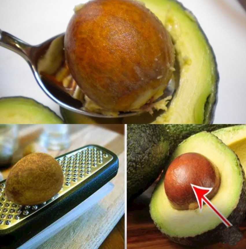 Unleash the Potential of the Avocado Seed