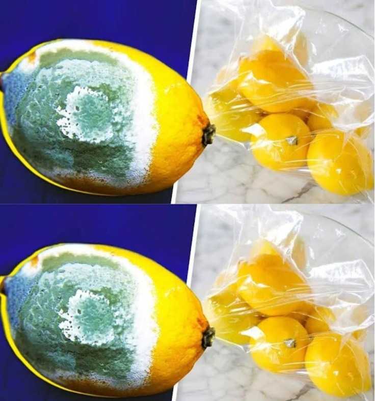 How to Store Lemons Longer to Prevent Them from Spoiling? 4 Simple Tricks