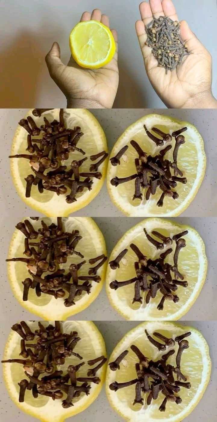 Just Stick the Cloves into the Lemon! Discovering a Golden Secret for Everyday Wellness