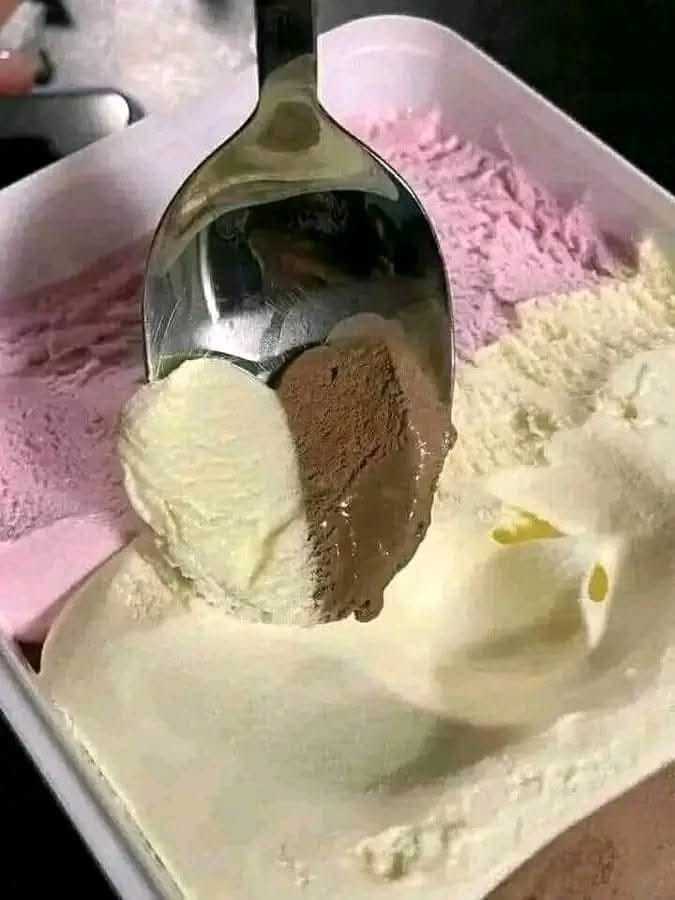 4 INGREDIENTS ICE-CREAM FOR CHRISTMAS