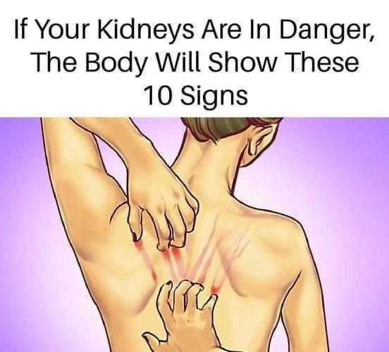 10 Warning Signs Your Kidneys May Be in Danger