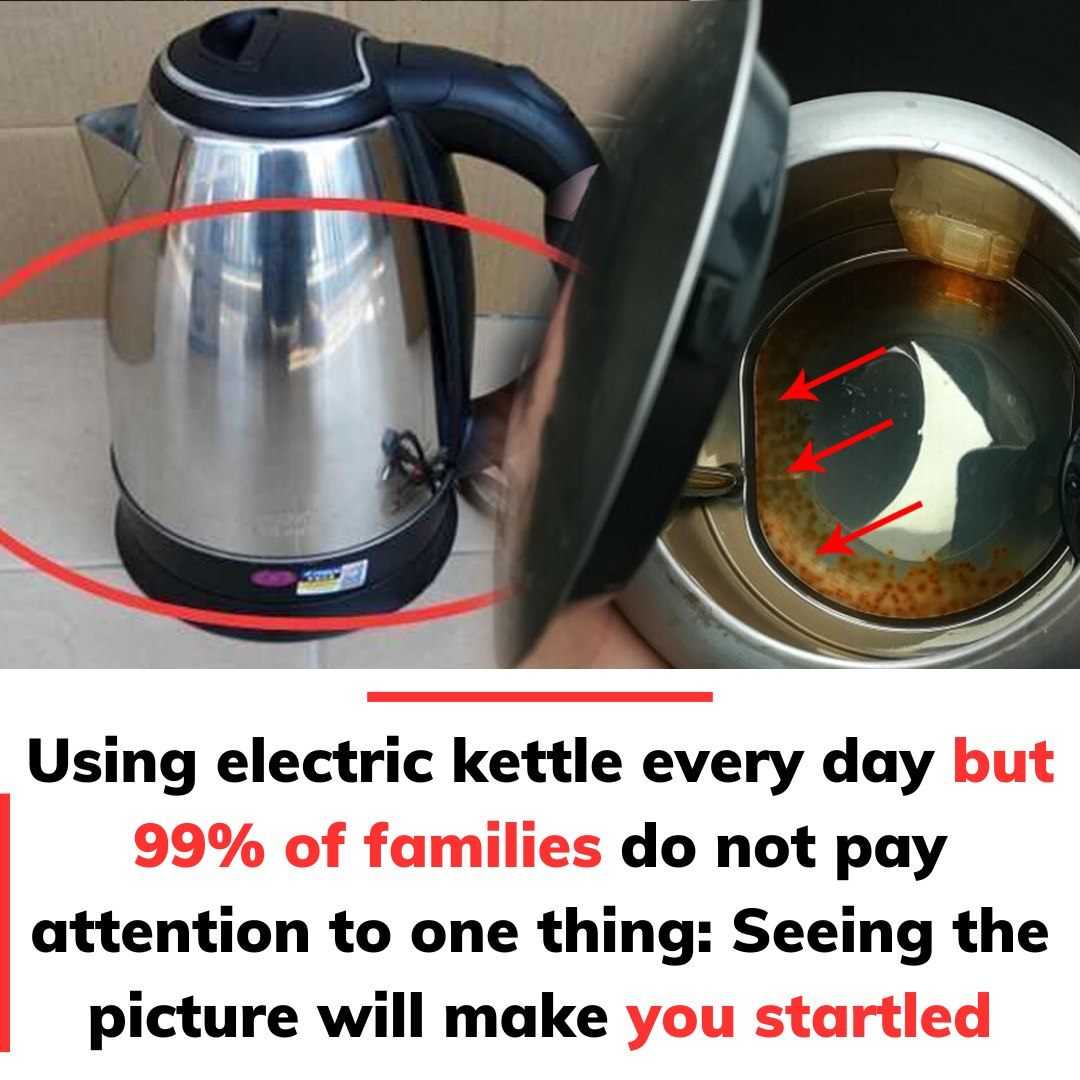 Using electric kettle every day but many families do not pay attention to one thing: Seeing the picture will make you startled