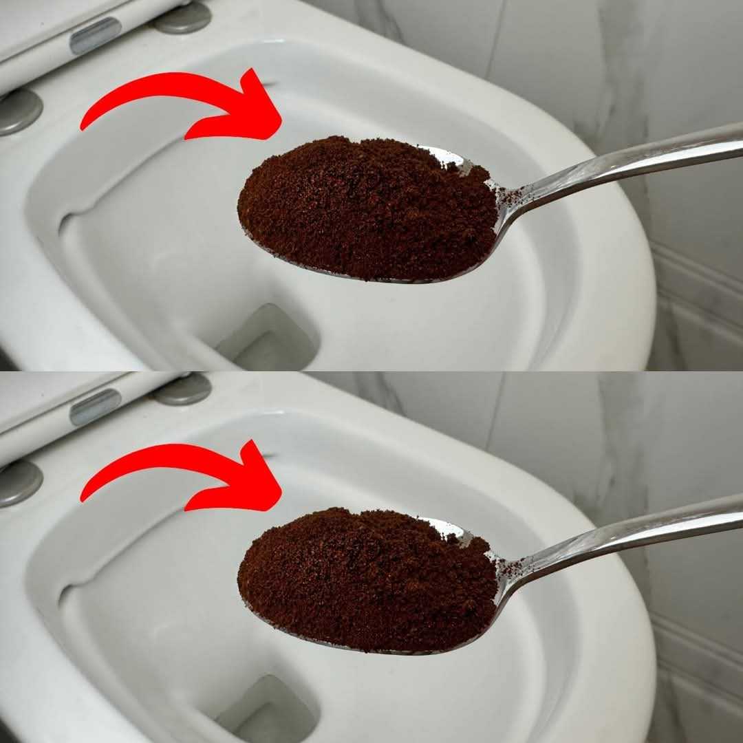 Sing Coffee Grounds in the Toilet: An Unexpected Household Hack