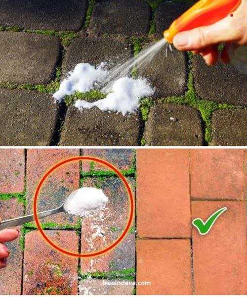 It is the best solution against moss on your driveway and terrace. 15 minutes is enough