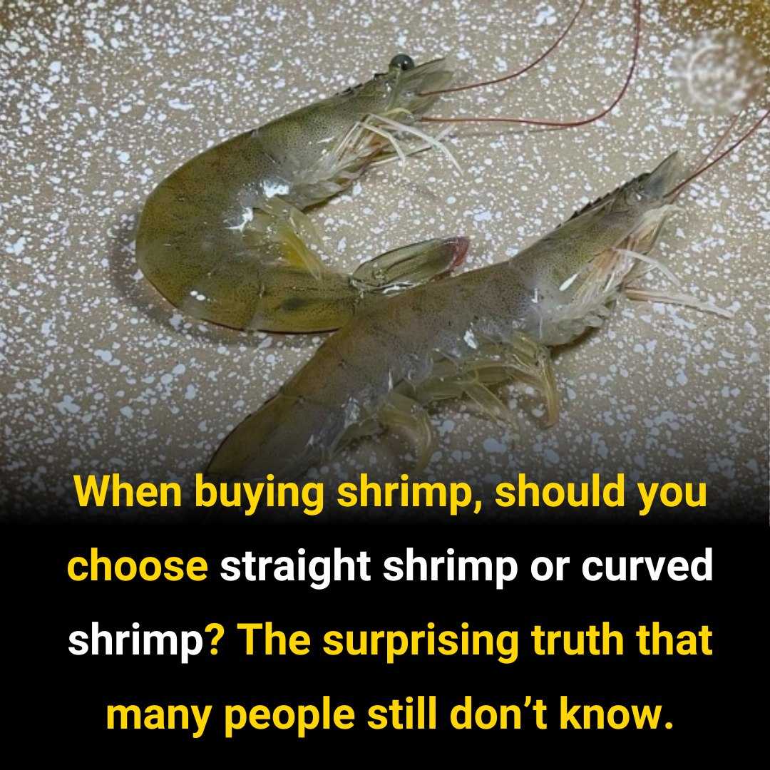 When Going to the Market, Should We Choose “Straight Shrimp” or “Curved Shrimp”? The Difference is Huge