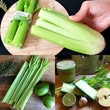 Clean Your Kidneys, Liver & Lungs! A Powerful Bacteria Killer – Celery & Lemon Detox!