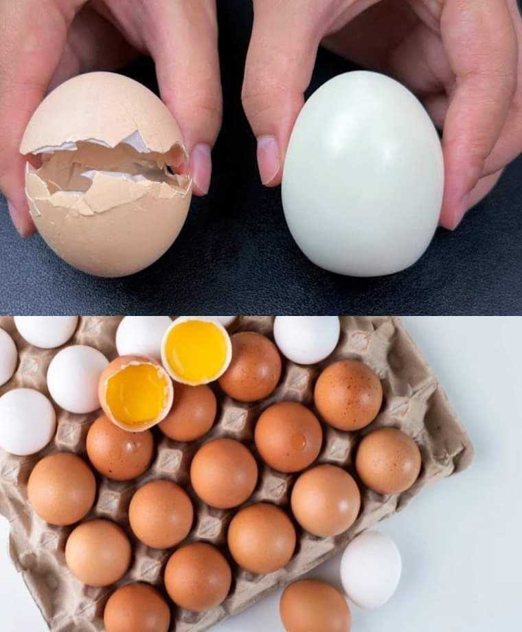 Master the Art of Peeling Hard-Boiled Eggs in Seconds: The Japanese Technique