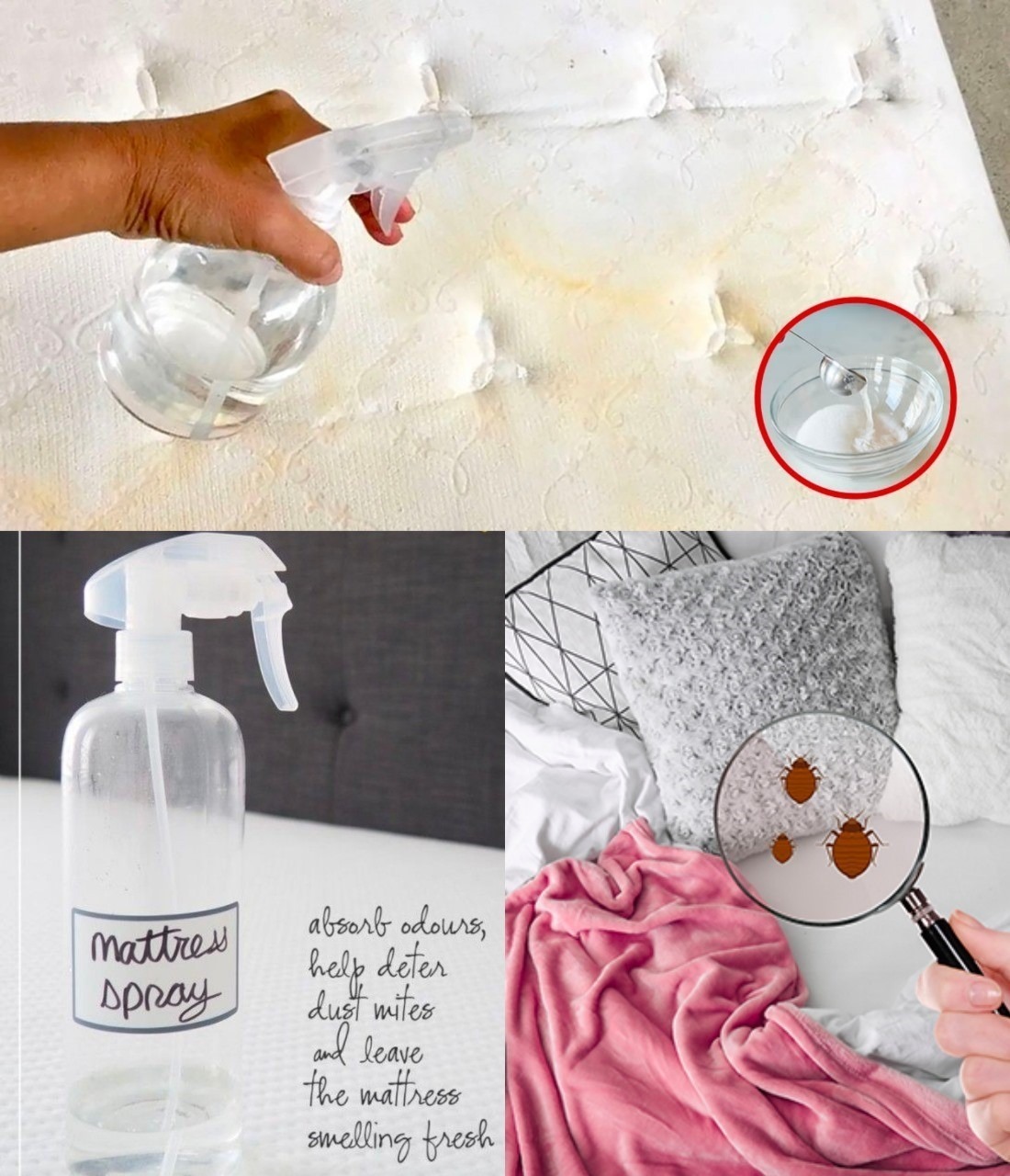 DIY Mattress Magic: Disinfectant Spray