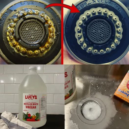 Easiest Way to Clean Your Shower Head  (Unbelievable Result!)