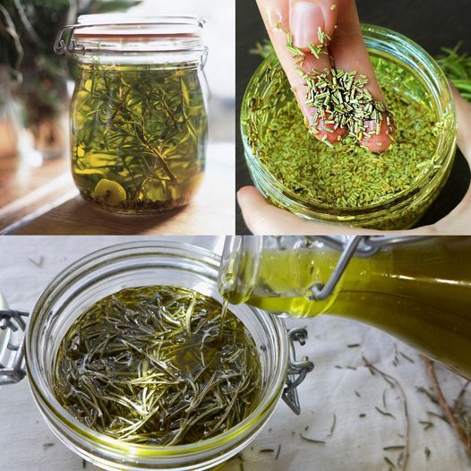 Forget Gray Hair and Bald Heads! Only 2 Powerful Ingredients and Your Hair Will Grow Fast (Rosemary and Olive Oil)