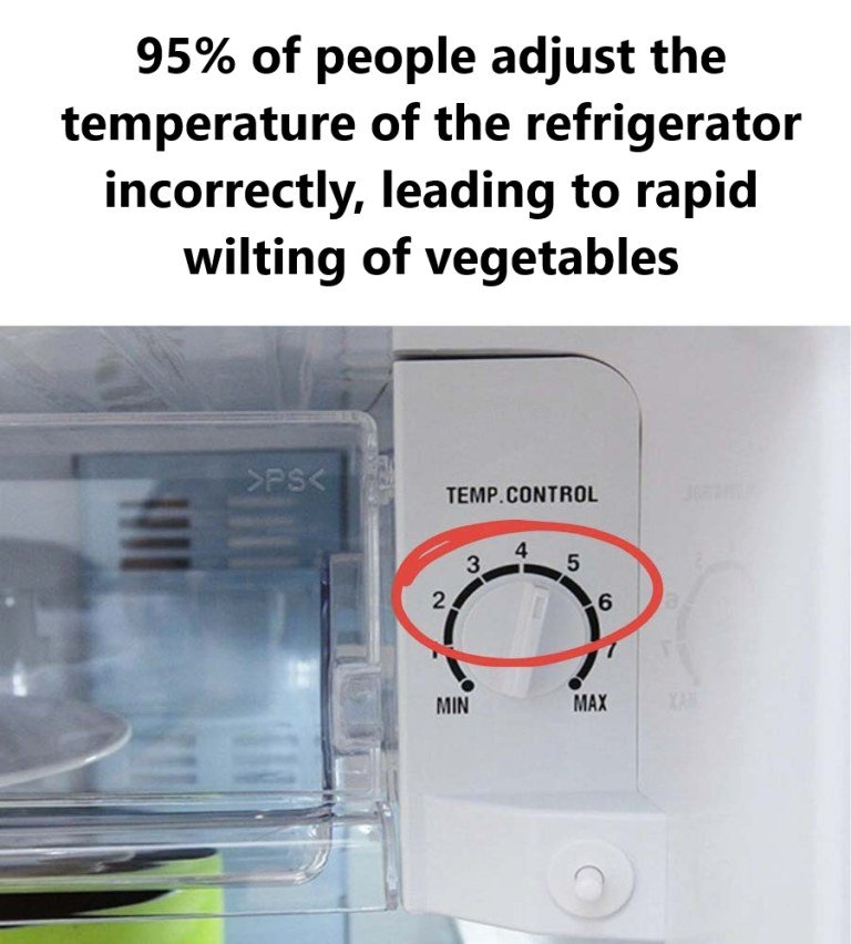 95% of people adjust the temperature of the refrigerator incorrectly, leading to rapid wilting of vegetables