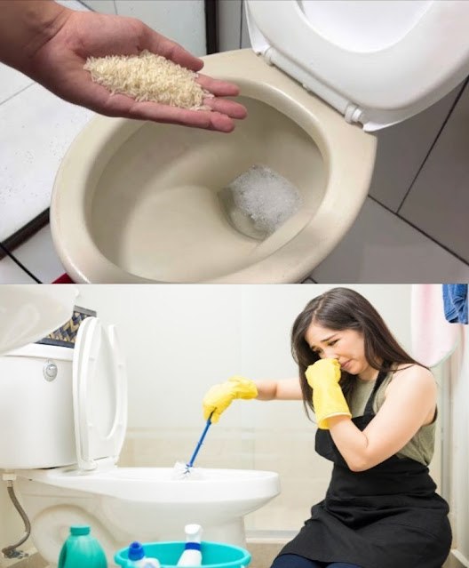 Fresh and spotless toilet for a week, even housekeepers use it