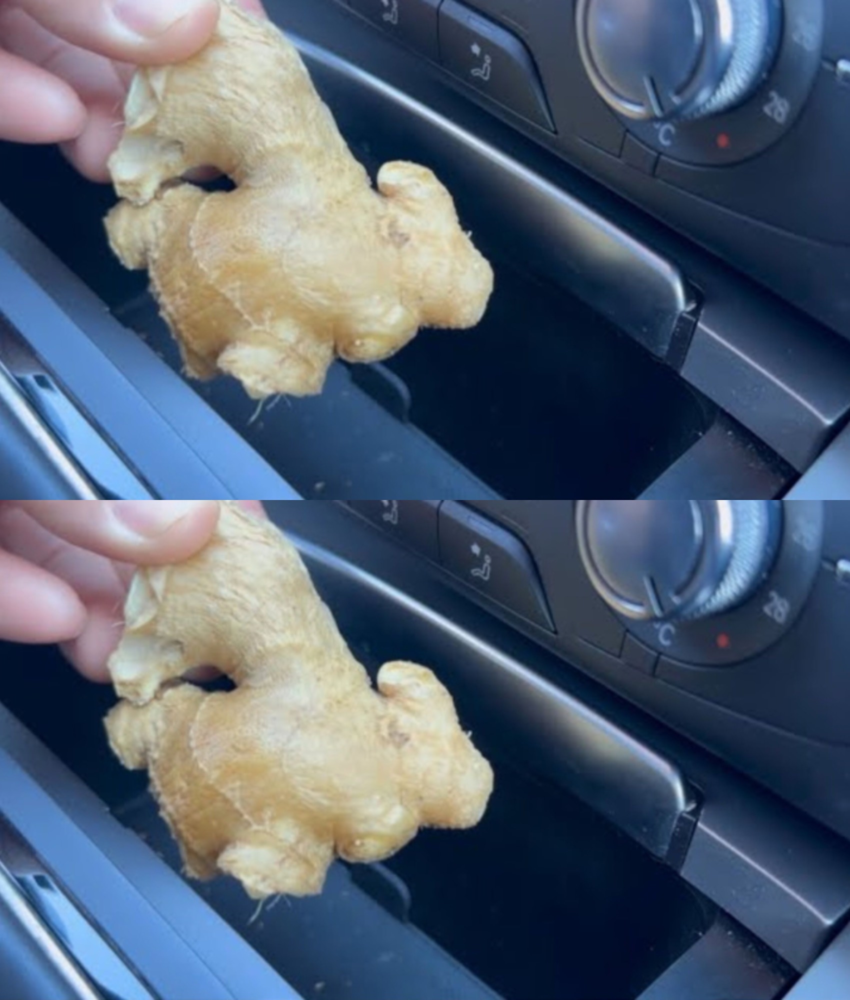 The Life-Saving Secret of Keeping Ginger in Your Car