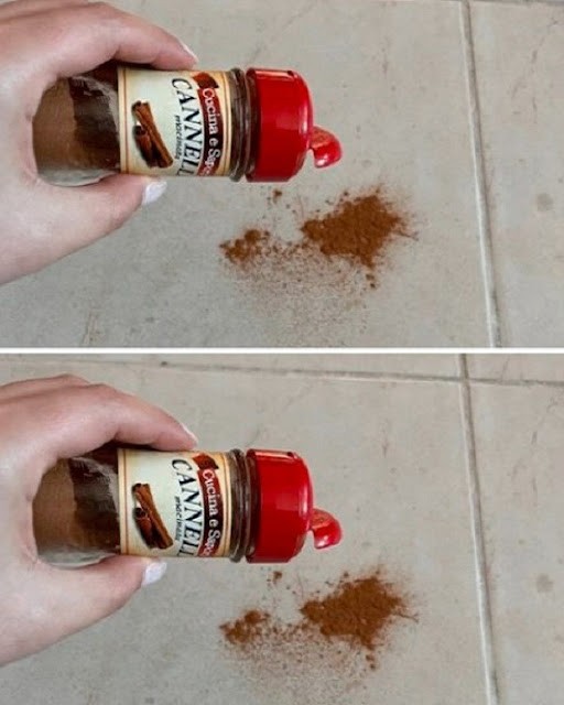 An old tip that still works: sprinkle a bit of cinnamon on the floor.