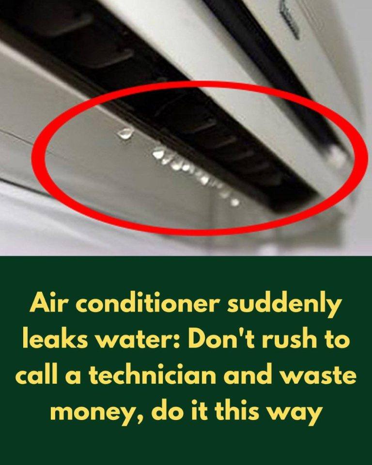 What to Do If Your Air Conditioner Is Leaking Water