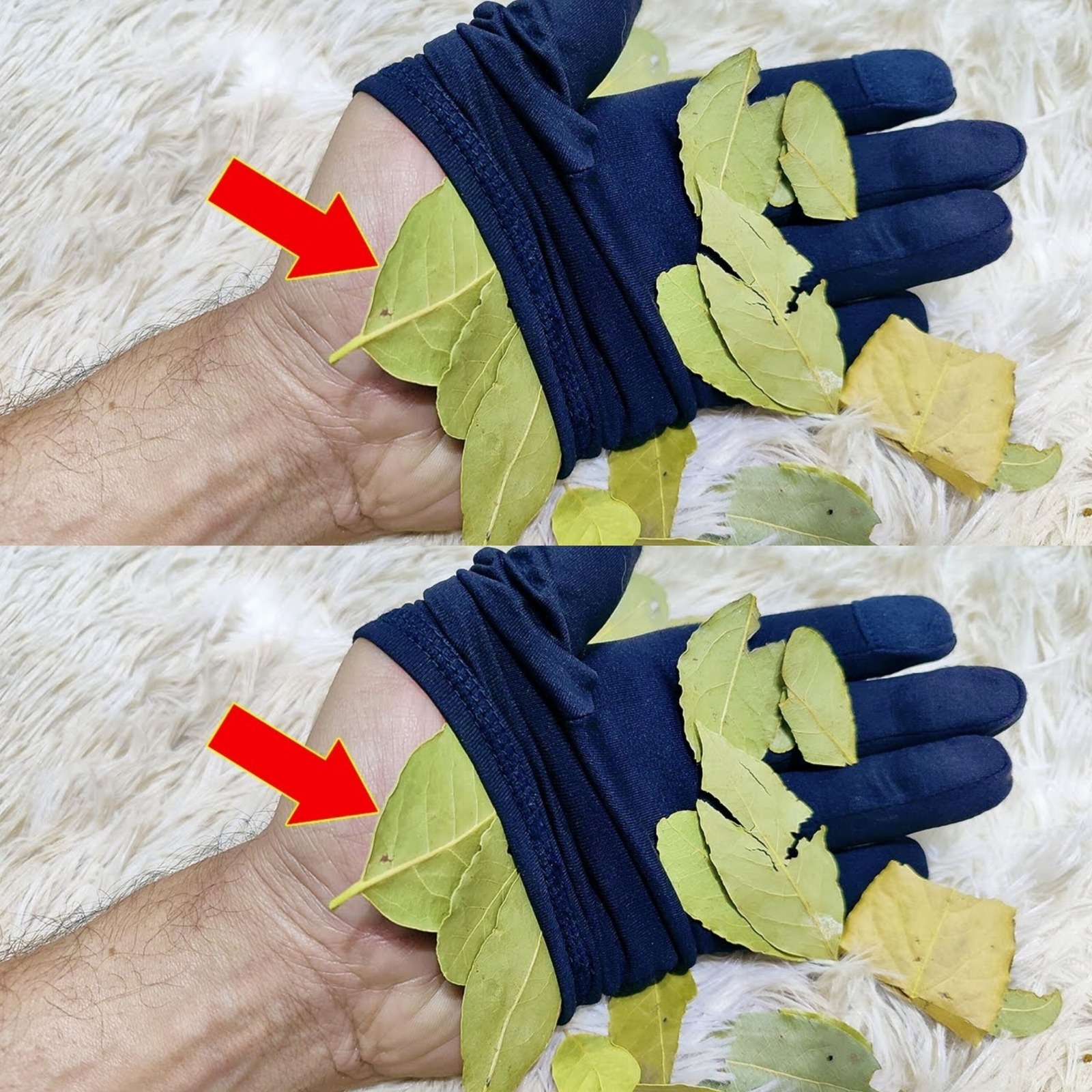 Put 1 Bay Leaf in Your Hands – A Simple Trick to Boost Your Health Naturally