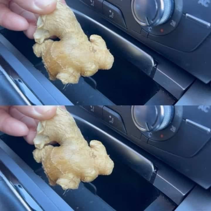 Why Keeping Ginger in Your Car Could Be a Lifesaver