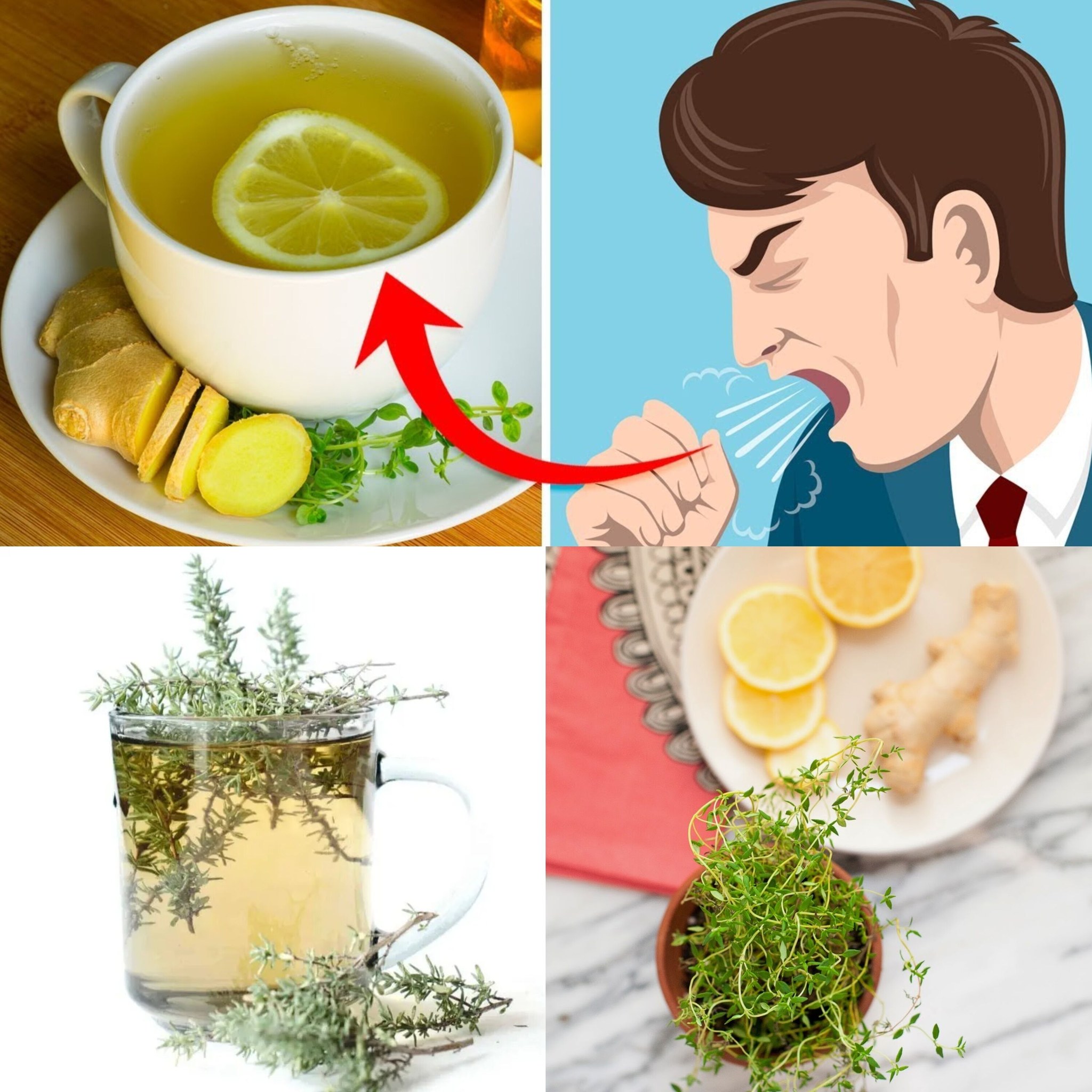 Powerful Homemade Cough Syrup with Ginger and Thyme: Just 2 Ingredients to Soothe Your Throat