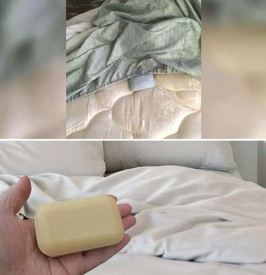 Marseille soap under the sheets against joint and muscle pain and insomnia