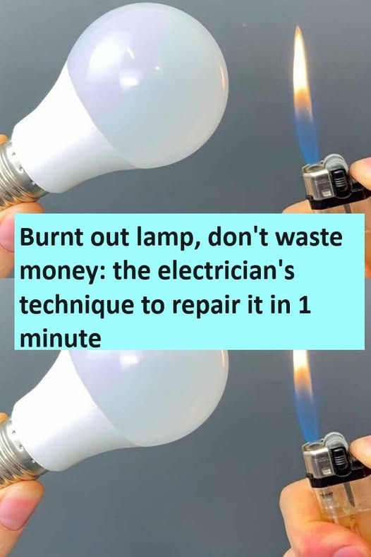 Burnt out lamp, don’t waste money