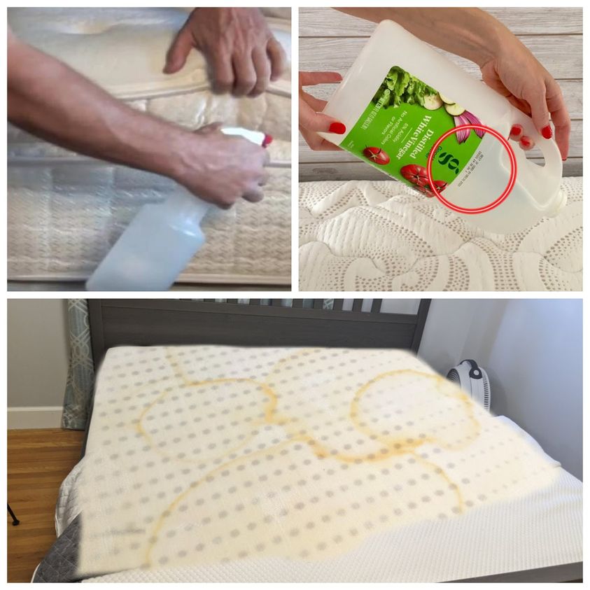 Transformative Steps for Preparing to Disinfect Your Mattress