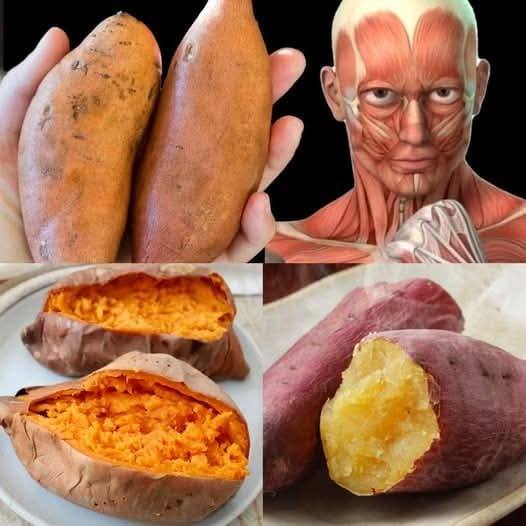 What Happens when you start eating Sweet Potatoes everyday