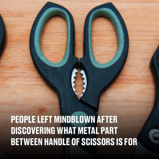 Metal Part Between Scissors