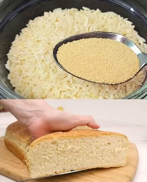 Rice Yeast Bread