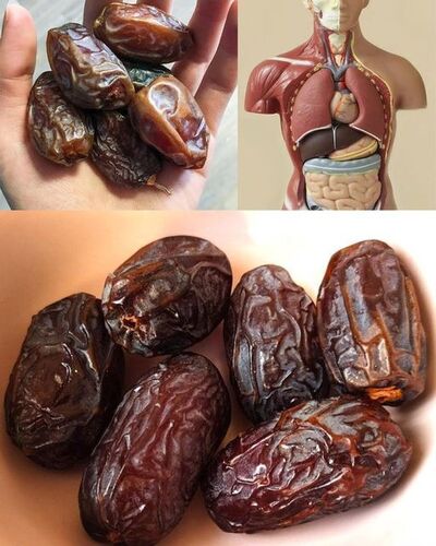 The Health Benefits of Dates: Nature’s Candy