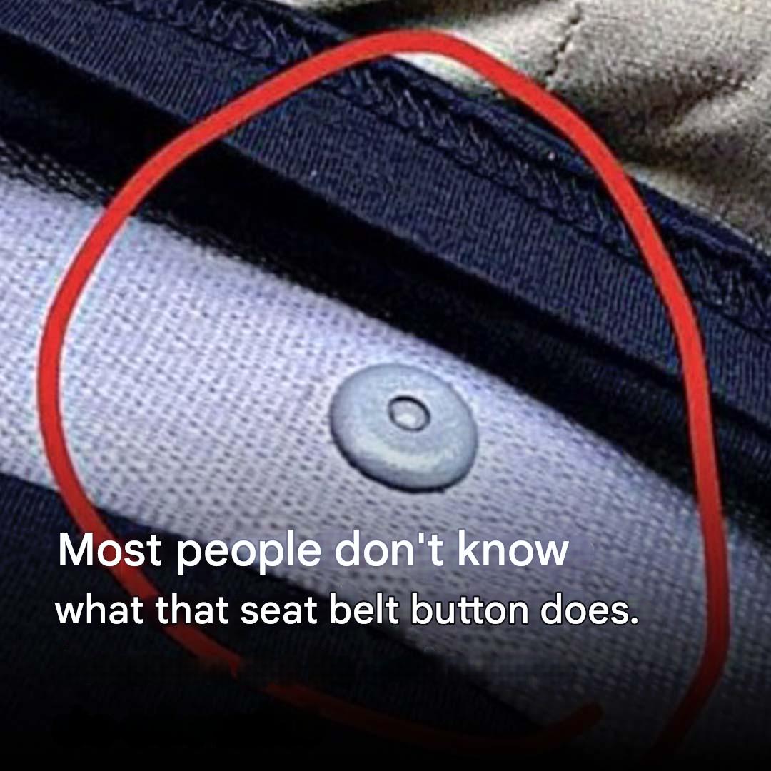 What is that little button on the seat belt for?