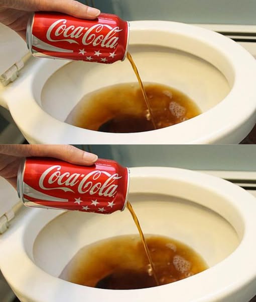 POUR A DROP OF COCA COLA INTO THE TOILET, THE RESULT MAY SURPRISE YOU