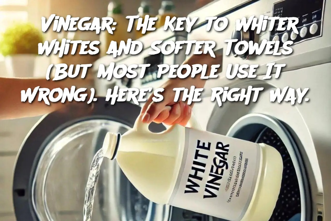 Vinegar: The Key to Whiter Whites and Softer Towels