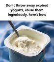 Don’t throw away expired yogurts anymore