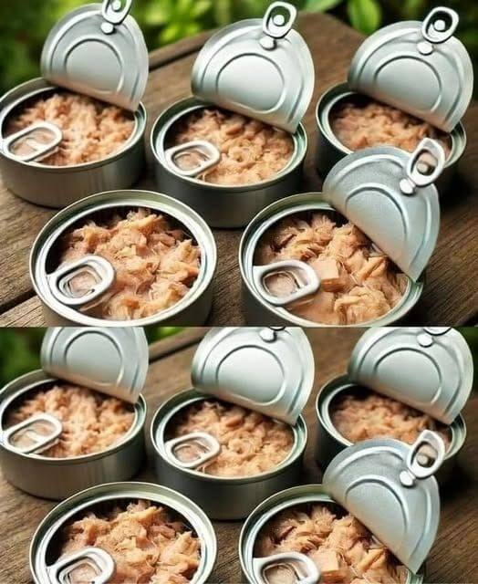 10 Ideas for Reusing Empty Tuna Cans: Creativity and Ecology in One!