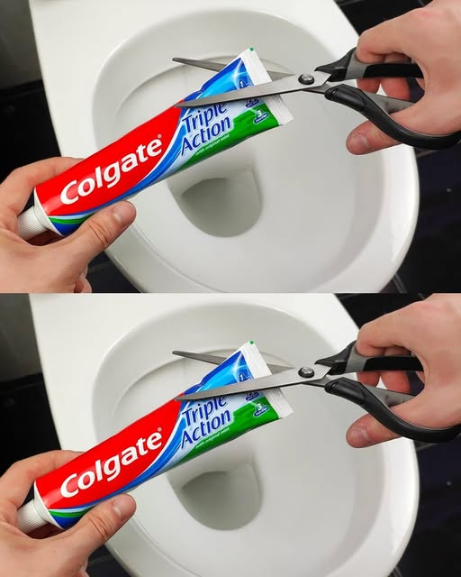 A surprising method for maintaining toilets