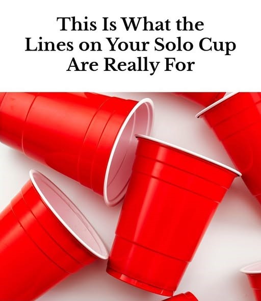 Here’s What the Measurement Lines on a Solo Cup Are Actually For