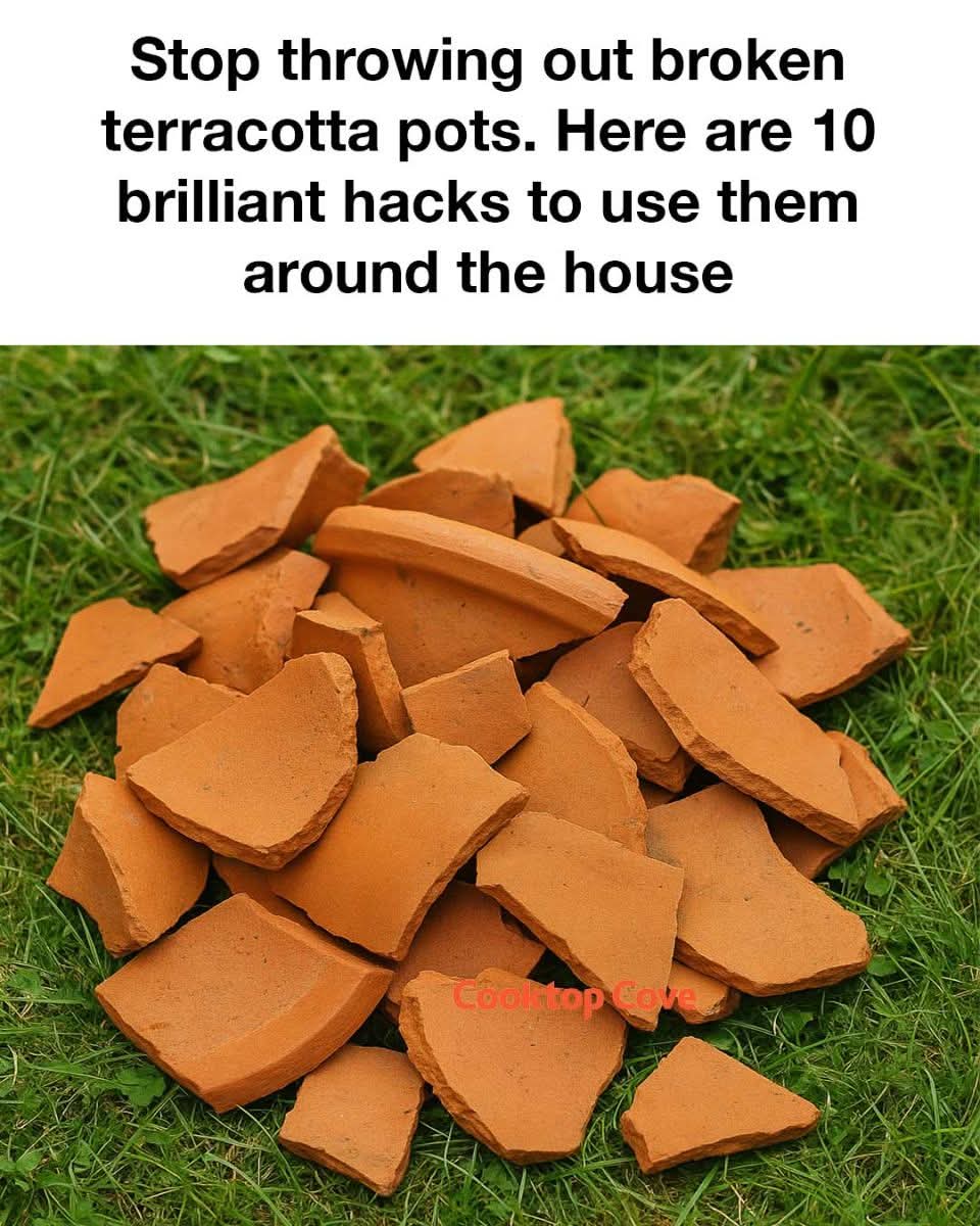 Stop throwing out broken terracotta pots. Here are 10 brilliant hacks to use them around the house