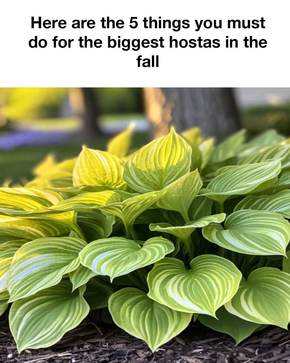 Don’t forget these!