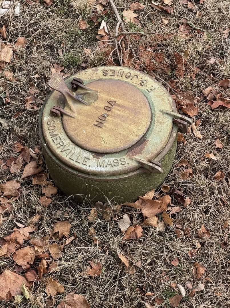 What’s Hiding in Backyards?