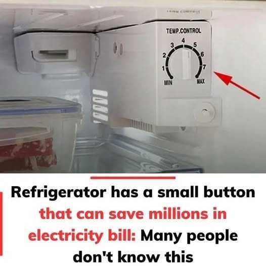 Refrigerator has a small button that can save millions in electricity bill: Many people don’t know this