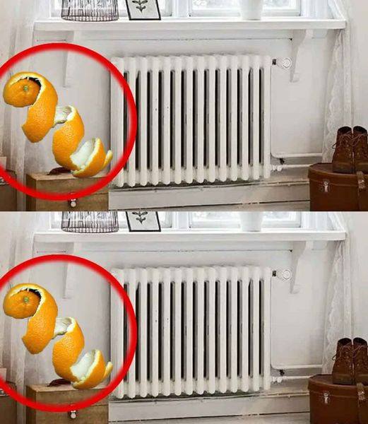 Citrus peels on the radiators: Because they have to be installed quickly