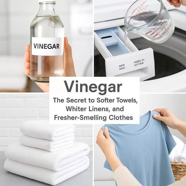 Vinegar for Fresh, Odor-Free Laundry