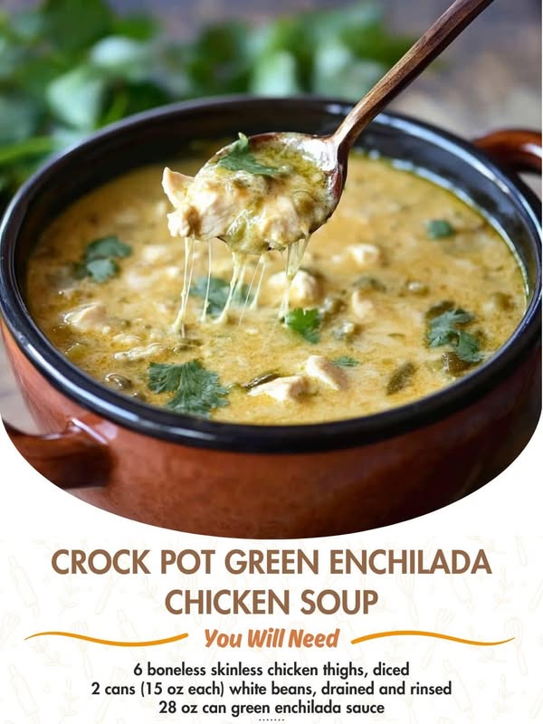 Crock Pot Green Enchilada Chicken Soup