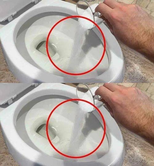 Toilets: why do you have to pour salt every day?