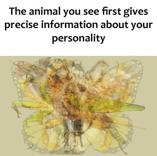 The animal you see first gives precise information about your personality