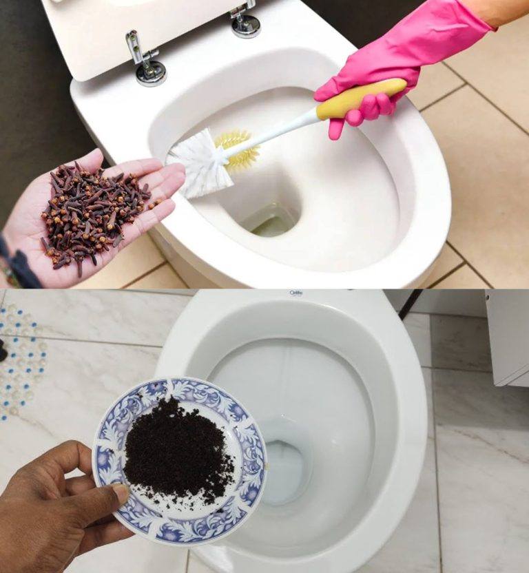 How to Make Your Toilet Always Smell Good. Ideal for Visitors to Use
