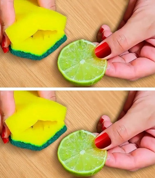 Why do smart housewives put lemon in the sponge for washing dishes? Change everything