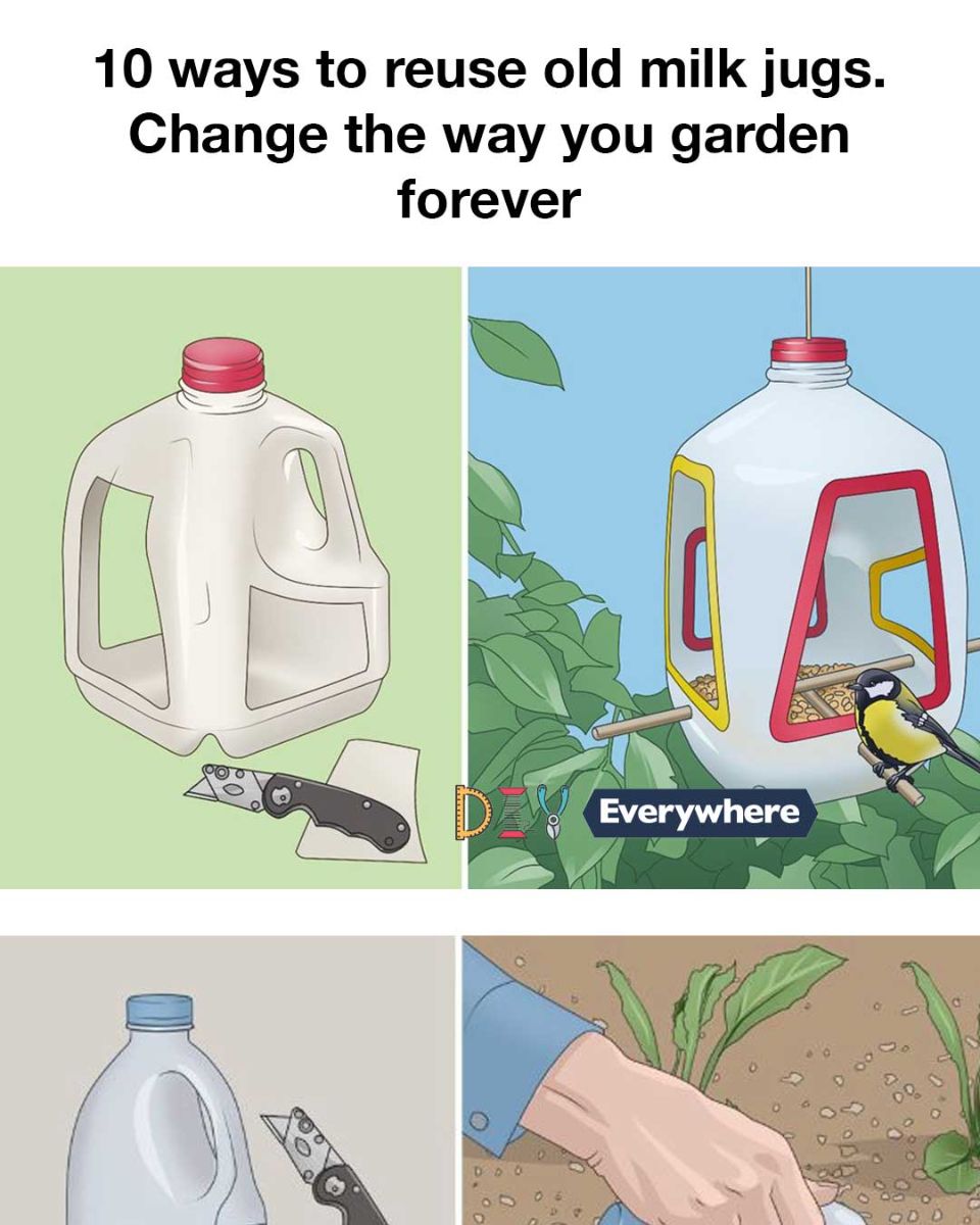 10 ways to reuse old milk jugs. Change the way you garden forever